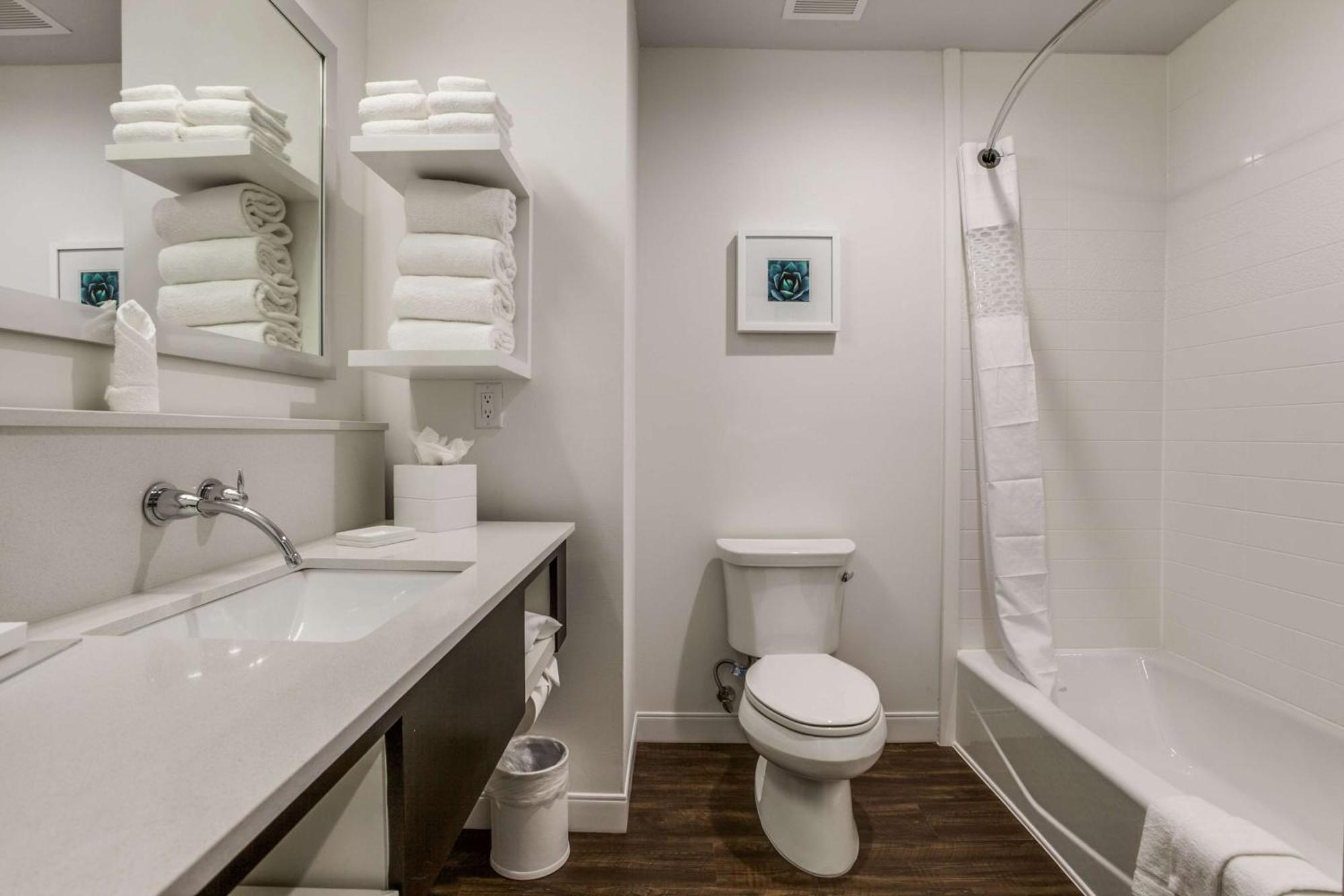 Hampton Inn&Suites Dallas-Central Expy/North Park Area Esterno foto